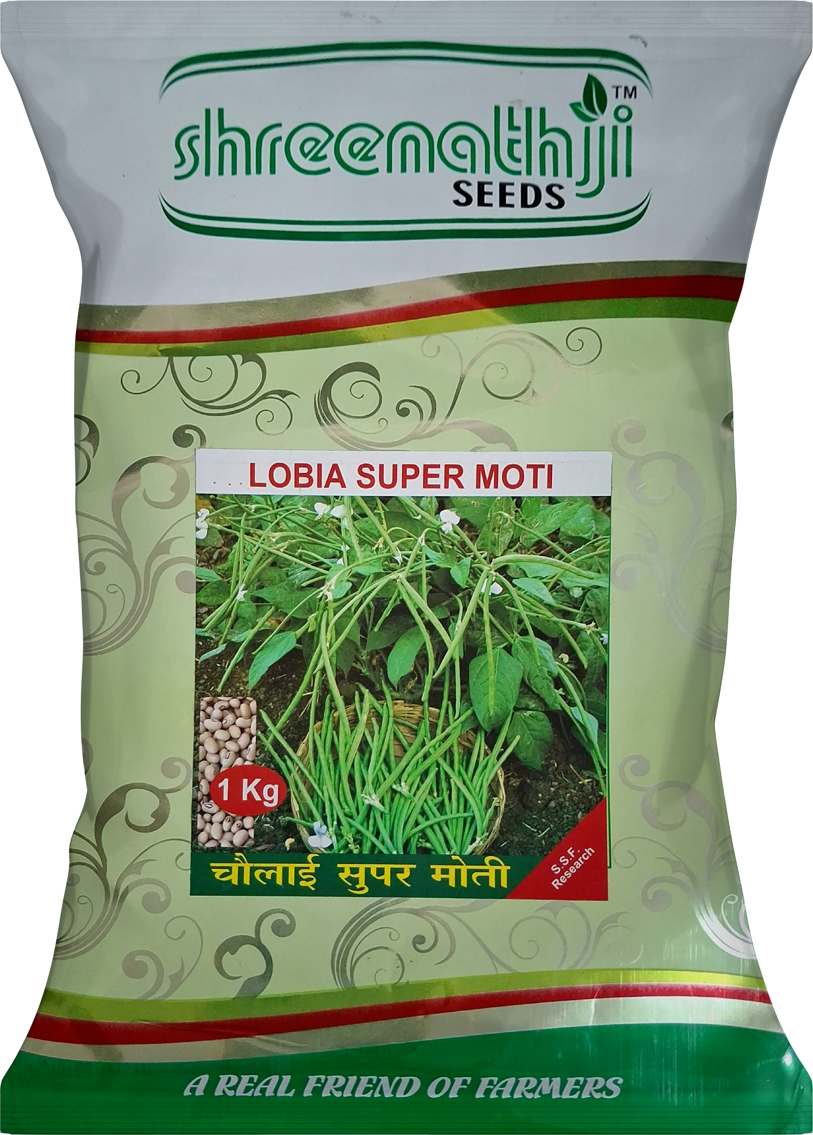 ચોળી સુપર મોતી